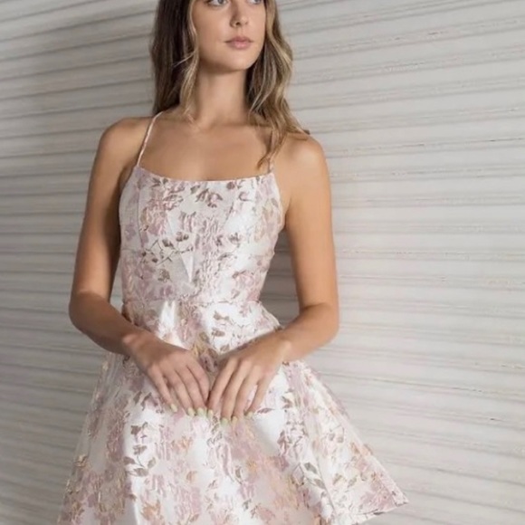 Rose Embossed Pink Dress - Picture 4 of 9